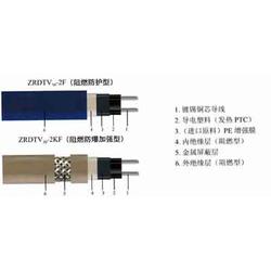 食品技術研發與計算機系統集成的融合應用