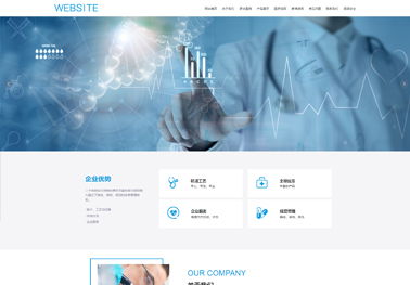 西安網(wǎng)站建設(shè)技術(shù)服務(wù) 打造數(shù)字化時(shí)代的核心競爭力